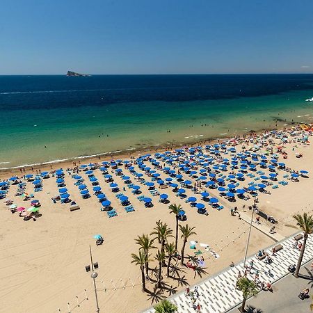 Las Palmeras 10A Lägenhet Benidorm Exteriör bild